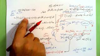 صورة 49 🔦 بصيرة الإعمال   ال