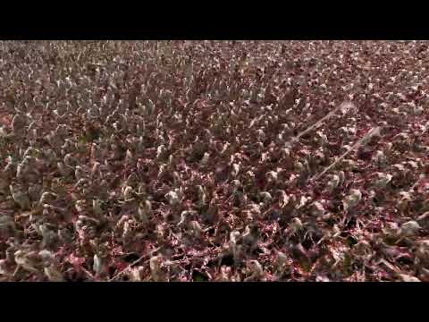 2 Full Auto Archer Vs 1 Million Zombies - UEBS2 - Ultimate Epic Battle Simulator 2