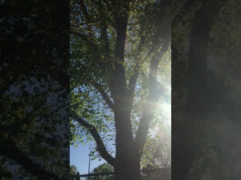5B890446 698B 492E BCE4 1410D532CBDA