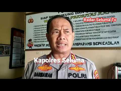 Kayu illegal Ditangkap