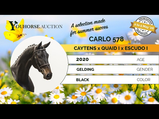 Carlo showvideo