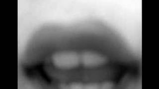 luz casal, tu bosque animado {NOCY}