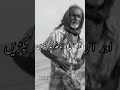 Zulam Ko Roko Zalim Ka Sath Dene Wala B Zalim Hota Hai Shorts Youtubeshort Quran