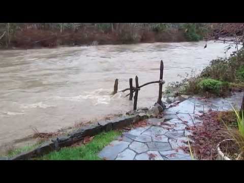 Trent River, Comox Valley, Vancouver Island, BC. Dec 9, 2014