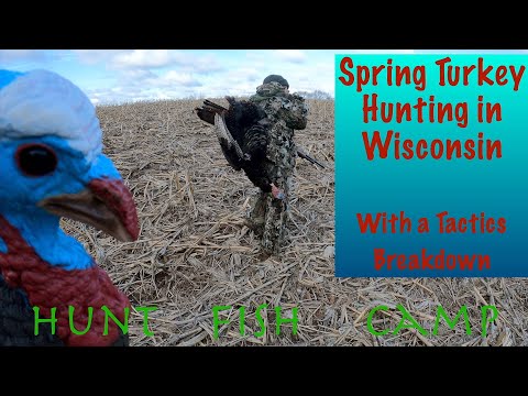 Spring Turkey Hunting in Wisconsin with a tactics breakdown!