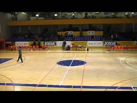 EBA B J12 Movistar Estudiantes – Seguros Soliss Alcázar Basket