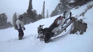 Look before you leap