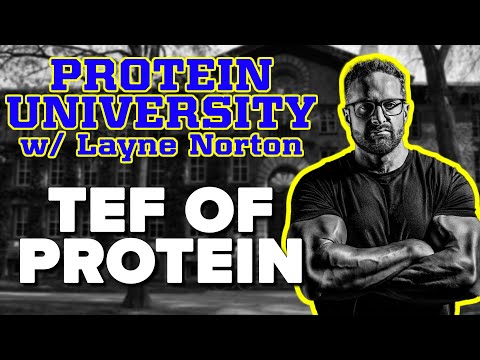 Protein University w/ Layne Norton PT. 3 -  Is The Thermic Effect Of Food Different For Protein?