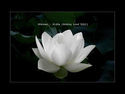 Unknown - Aloha (Andrey Loud Edit) (THEME FROM THE WHITE LOTUS)