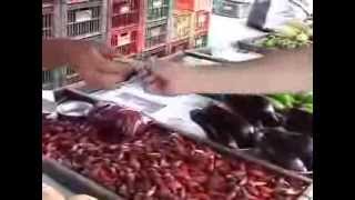 Dj Dolores "Adorela"