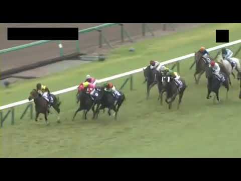 2018スプリンターズステークスを実況してみた