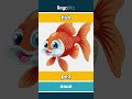 fish - pez video thumbnail