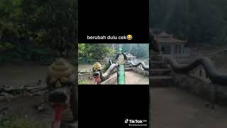 Download lagu Misteri ilahi silumann ular mp3 Download lagu Misteri ilahi silumann ular mp3