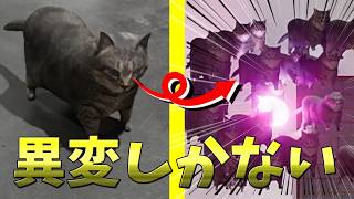 魔法陣から猫が登場する異変探しのゲームがヤバすぎたｗ【Twisted Gallery 异馆(異館)】【ゲーム実況】#oiiaoiiacat