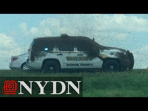 Swarm of bees attack Oklahoma police car