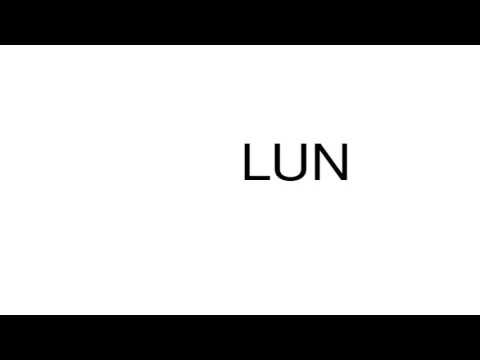 How to pronounce LUN