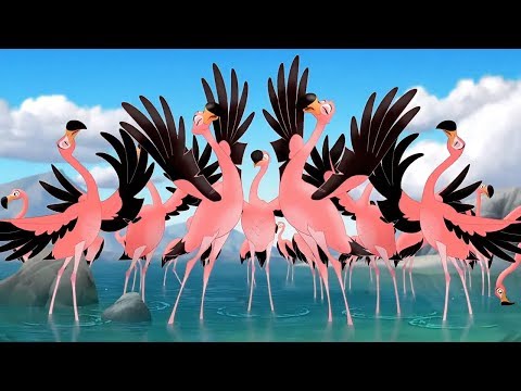 The Lion Guard: Flamingo Dance Party - Full Song with lyrics (High Quality) | The Race to Tuliza