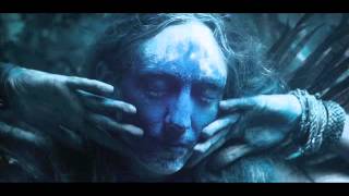 Sur l&#39;Océan Couleur De Fer - Alcest