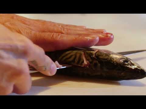 So filetiert man einen Fisch: Anleitung von Spitzenkoch Fabian Günzel