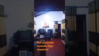 Download lagu Mal pipunata suwada dige noyannai frist corus  sing song Is this song beautiful or ugly?? mp3