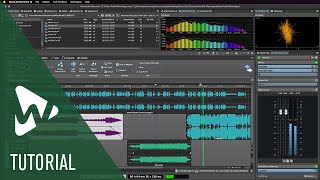 Video thumbnail for Overview of the Audio Montage in WaveLab Elements | Tutorials by WaveLab