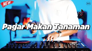 Download lagu DJ PAGAR MAKAN TANAMAN ! DJ DANGDUT TERPOPULER FULL BASS 2025 KEVIN STUDIO mp3 Download lagu DJ PAGAR MAKAN TANAMAN ! DJ DANGDUT TERPOPULER FULL BASS 2025 KEVIN STUDIO mp3