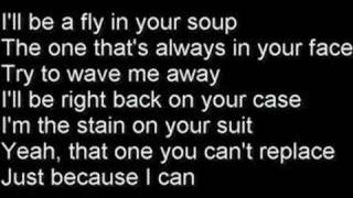 Ana Johnsson &quot;Coz I can&quot; lyric