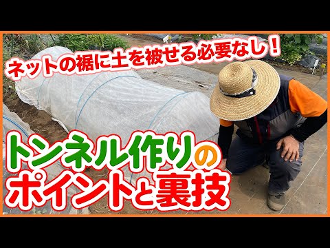 冬を越す前にキョウチクトウを害虫から治療する必要がありますか?  庭園