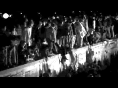 Collieman - What We Need Is Love ft. The Wailers (OFFICIAL MUSIC VIDEO)