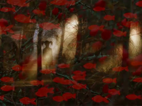 LOVE THE RAIN - Robo Grigorov