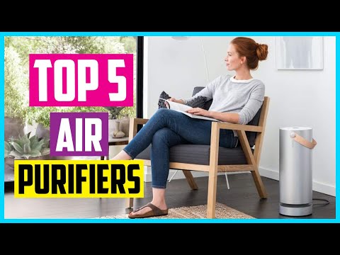 ✅Top 5 Best Air Purifiers 2022 Reviews