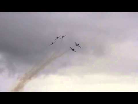 Silver Falcons TFDC2012 Low Level Display