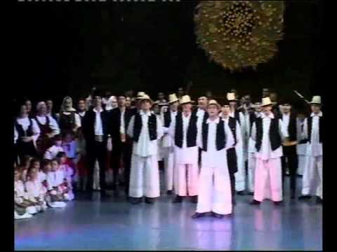 ANIP Branko Radicevic Ruma POGLEDAJ DE MOJ JARANE