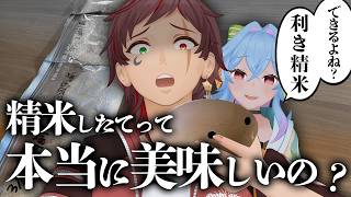 米を１ヵ月放置してみた