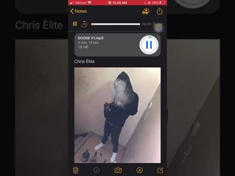 Chris Èlite x Balenci- Goose