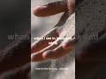 Lyric Lines - When That Train Comes
