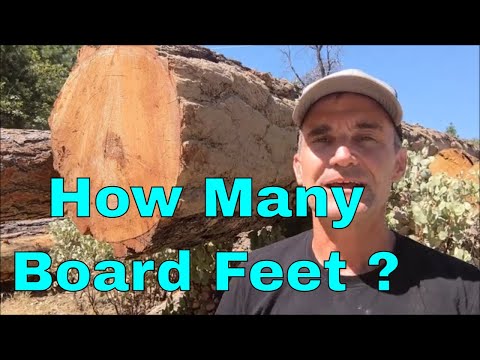 Part of a video titled How to Scale Logs and Find Board Feet of Lumber, Doyle Scale