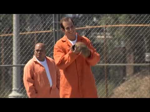 Arrested Development - I'm white