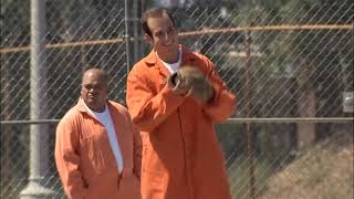 Arrested Development - I&#39;m white