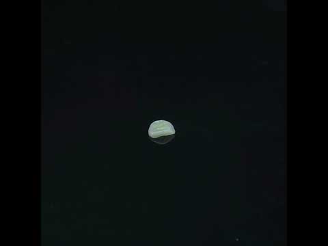 YouTube 썸네일