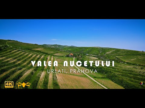 Flight in Valea Nucetului | Urlati, Prahova | 🇷🇴