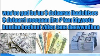 Download lagu Waa'ee gad bu'uu dolara ilaalchisee dolaarri meeqaan jira kan biyyoota hunddaa beekuuf V. daawwadhaa mp3