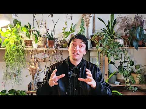 第 6 部分 - 爵士舞和林迪-霍普舞訓練 - 組建團隊 (Part 6 - Training Jazz & Lindy Hop - Establishing a Team)