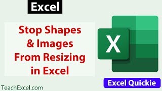Prevent Shapes and Images from Resizing or Moving in Excel - Excel Quickie 31