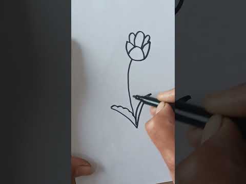 Beautiful and easy flowers drawing