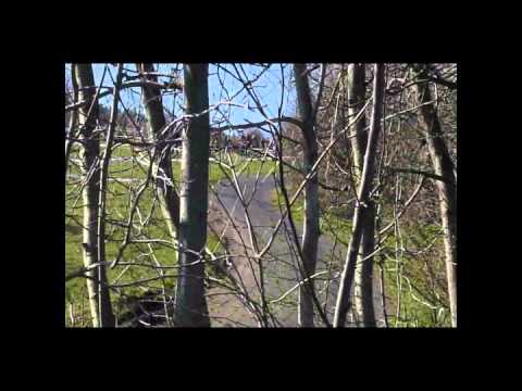 39 Rajd Świdnicki KRAUSE