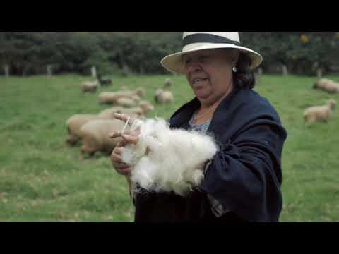 This is us -Cardolan