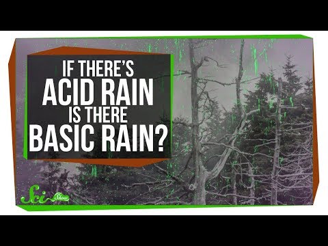 If There's Acid Rain, Is There Basic Rain?