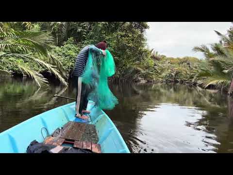 Round 2 menjala udang