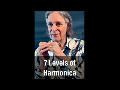 7 levels of harmonica. What level are you at? #harmonica #musician